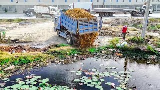 Winderful Show Project LANDFILL by Expert Operator Skill Dozer KOMATSU D31P  pushing and Dump Truck