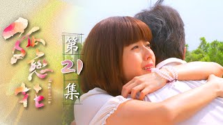 孤戀花 第21集 Magnolia EP21｜全集