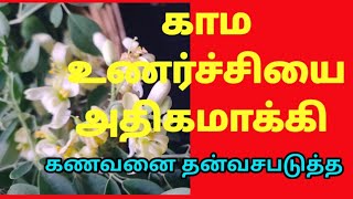 drumstick flower benefits முருங்கை பூவின் மகிமை