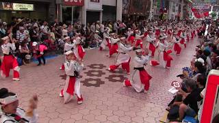 よさこい全国大会(2017/8/12)「備後ばらバラよさこい踊り隊」