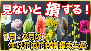 【冬の最新情報】1月〜2月のオススメ花材を紹介します！