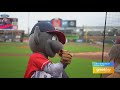 GDL: Check out the Louisville Bats First Ever 