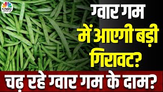 Guar Gum NCDEX | लगातार दूसरे महीने ग्वार गम में तेजी लेकिन आगे गिरावट की आशंका क्यों? | Commodity