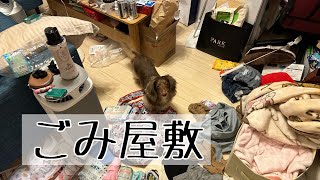 【ごみ屋敷の片付け】30分掃除！どうにかしていく！意識を変えていこう✨