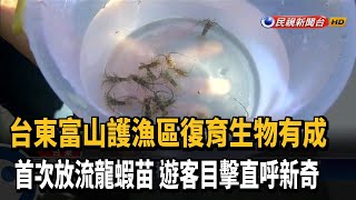 國內首次! 富山護漁區放流魚苗豐富海洋生態－民視新聞