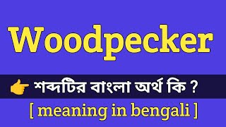 Woodpecker meaning in bengali || Woodpecker এর বাংলা অর্থ কি