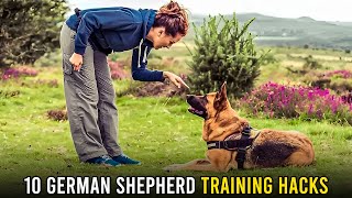 Top 10 German Shepherd Training Hacks Every Owner Should Know