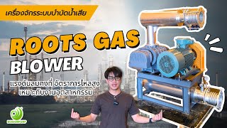 เจาะลึก เครื่องเป่าก๊าซ Roots Gas Blower คืออะไร ใช้งานอย่างไร? │Review Root Gas Blower - Bossum