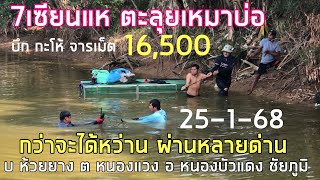 25 ม ค 68#7เซียนตะลุยเหมาบ่อ บึก จารเม็ด กะโห้ กว่าจะได้หว่าน บ ห้วยยาง ต หนองแวง หนองบัวแดง ชัยภูมิ