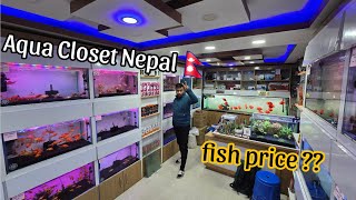 Exploring Aquarium Fish at Aqua Closet- Fish Price Mentioned #aquariumshop #fishprice #aquavlog