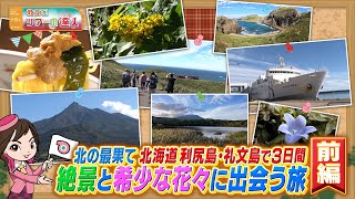 利尻島・礼文島！最北の大自然を満喫　二つの島に滞在できる初夏の人気ツアーを大特集　前編