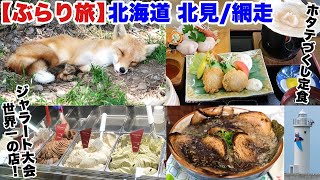 【網走/北見 ぶらり旅！】北海道 道東を巡る旅。ホタテづくし・ジェラート世界一の店・北きつね牧場・網走監獄・朝食バイキング・イトウがいる水族館・Cafeしゃべりたい・メルヘンの丘で夕日【ひとり旅】