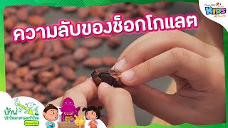 ความลับของช็อกโกแลต | บ้านนักวิทยาศาสตร์น้อย