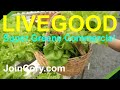 LIVEGOOD New Super Greens Commercial Just Released!