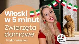 Zwierzęta po włosku 🐾 | Nazwy, części ciała i idiomy, które musisz znać! 🐶