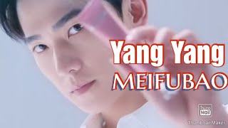 Yang Yang (杨洋) Meifubao endorsement ad