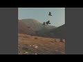 die on this hill