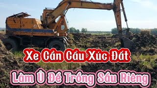 hai chiếc xe cuốc múc đất làm ụ trồng sầu riêng