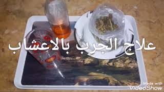 علاج الجرب والحساسيه الجلديه بالاعشاب