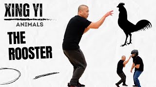 Xing Yi Tips - The Rooster  - Kung Fu Report #357