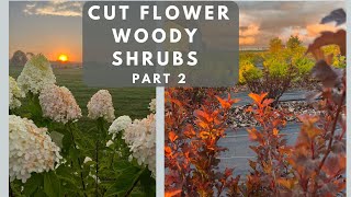 6 Woody Shrubs I Planted in 2022 and How They Paid Off: Cut Flower Woodies PART 2