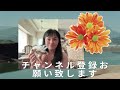 ぶさかわチワワりん。生後249日【vlog】