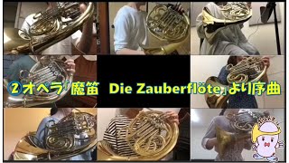 【ホルン友の会】リモートアンサンブル②ホルン８重奏　オペラ「魔笛　Die Zauberflöte」より序曲