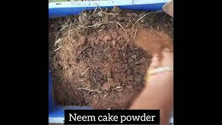 SOIL MIXING ||மண் கலவை||#shorts #soil #gardening #soilmixture