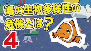 動画で学ぼう！「海の生物多様性」３