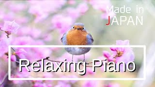 ヒーリングピアノ#4（Piano only）癒し |  Realxing Piano #4