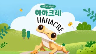 하하크레] 우당탕탕 첫 귀뚜라미 피딩데이 | 크레스티드게코, 피딩하는법