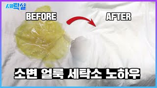 [얼룩제거]땀얼룩, 소변, 피 얼룩 제거 [동물성 단백질 얼룩] 세탁소에서 빼는 방법 따라해봐요~