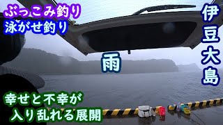 【伊豆大島】雨の中、ぶっこみ釣りと泳がせ釣り【2023年6月下旬】