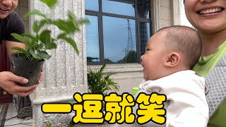 Xiaohanghang follows Uncle to plant fruit