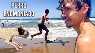 Skimboard en la Playa más Conocida de Uruguay! 🌊Olas y un Perro Loco - Los Dedos, Punta del Este