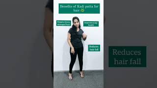 Did You Know Kadi Patta Can Do Miracles to Your Hair | Traya Health