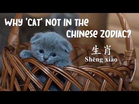 Why is there no cat in Chinese zodiac?