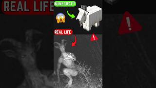 MINECRAFT MOB'S  CURSED IMAGES IN REAL LIFE 😱|| PART 9 #shorts #short #technogamerz