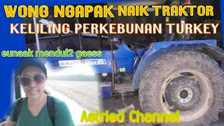 WONG NGAPAK NAIK TRAKTOR  KELILING PERKEBUNAN TURKEY