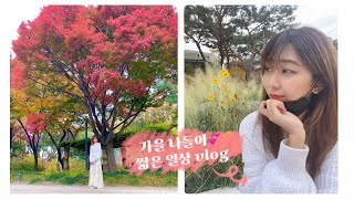 [짧은일상/vlog] 덕수궁,정동길 단풍구경 가을나들이🍁