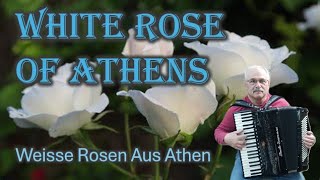 White Rose of Athens  -  Weisse Rosen Aus Athen