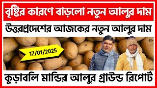 17/01/2025 : মেনপুরির আজকের নতুন আলুর দাম | New Potato Price in U.P - India Potato News