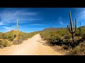 vr 360 5k scenic bajada loop drive complete pov saguaro national park west arizona 2022 03 15