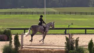 Markel GH ridden by Jennifer Groon | Briarwood Farm Derby Day Low Hunter Derby