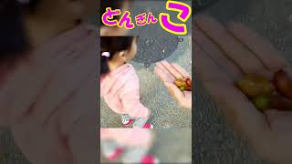 爆笑！！どんぐり！？