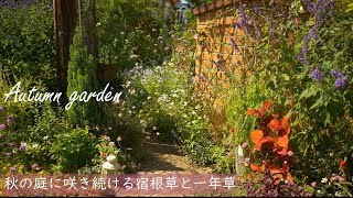 Gardening and Living｜Building a Flower-Filled Garden from Summer to Autumn｜Making Pound Cake