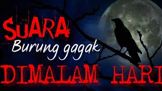 SUARA BURUNG GAGAK....!!! BIKIN SERAM SUASANA