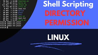 Directory Permission in Linux | Bash shell scripting #linux #shellscripting