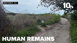Human remains found in Rhode Island neighborhood, not far from Taylor Swift's house