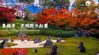 8K Kyoto - Komyoin 東福寺 光明院 8KHDR